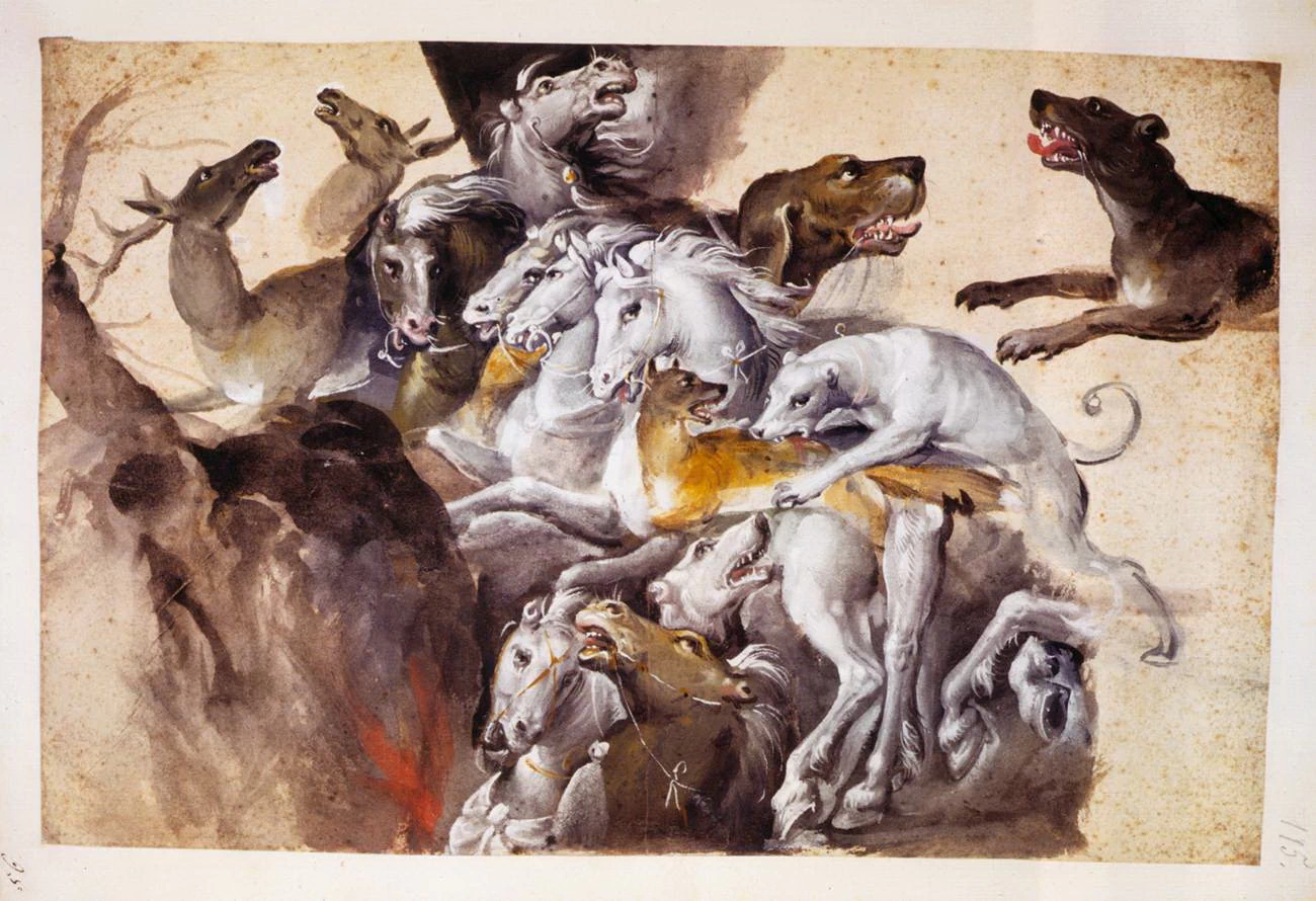Composizione con animali - Österreichische Nationalbibliothek, Vienna